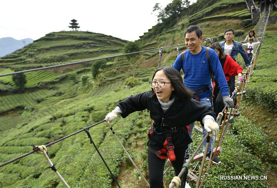 Туристы на чайных плантациях в провинции Хубэй