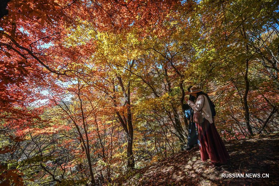 Как в Китае проводят праздничную неделю по случаю Дня образования КНР