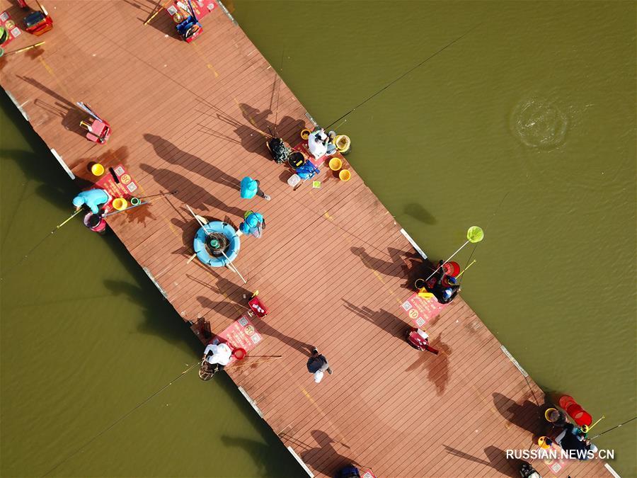  Около 1000 человек приняли участие в соревнованиях по рыбной ловле в уезде Сыхун провинции Цзянсу