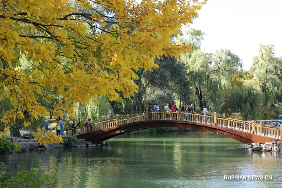 За неделю каникул по случаю Национального праздника объем внутреннего туризма в Китае составил 726 млн человек