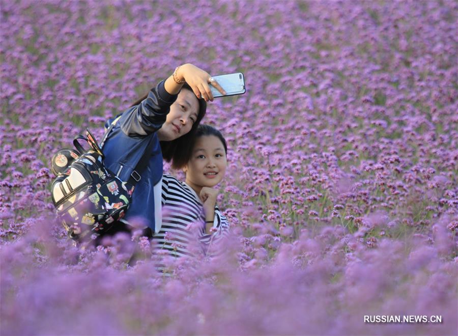 За неделю каникул по случаю Национального праздника объем внутреннего туризма в Китае составил 726 млн человек