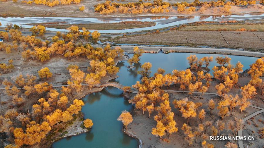 Красота осенней природы во Внутренней Монголии