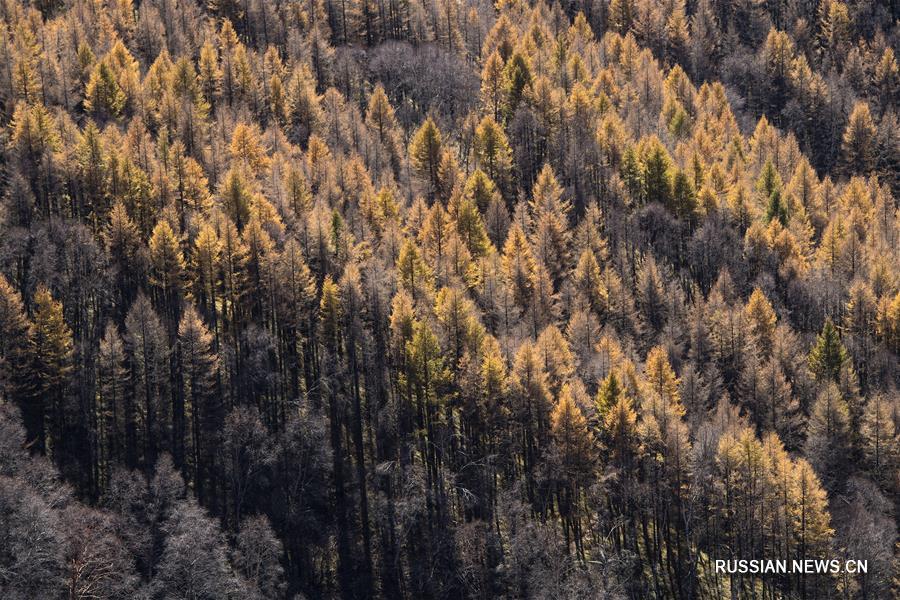Осенний пейзаж в горах Толян 