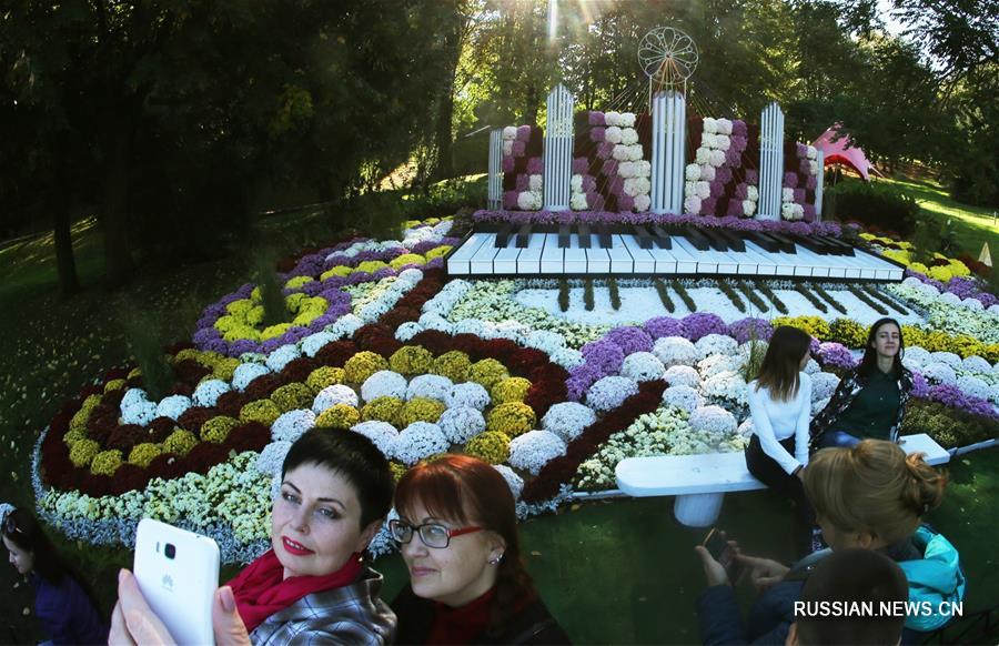 В Киеве проходит Фестиваль хризантем
