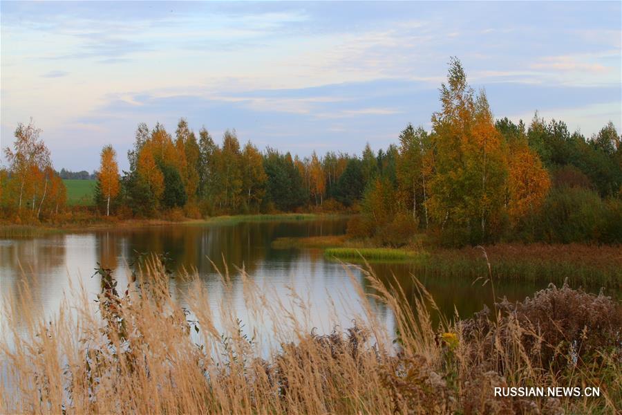 Золотая осень в Беларуси