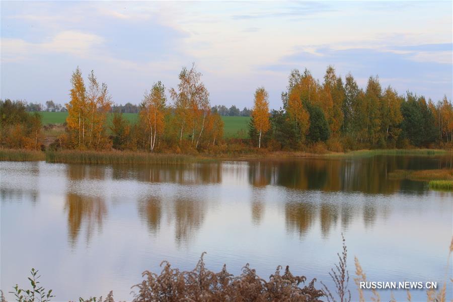 Золотая осень в Беларуси