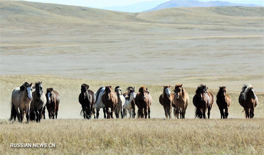 Проект "Сегодняшняя Монголия" прошел в Улан-Баторе