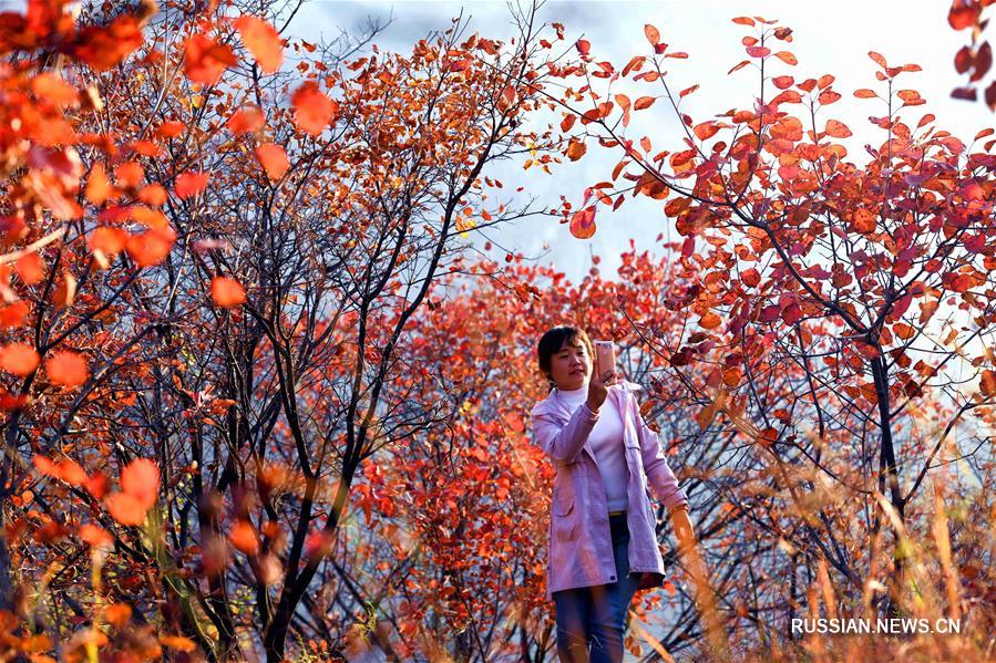 Октябрь в уезде Пиншань