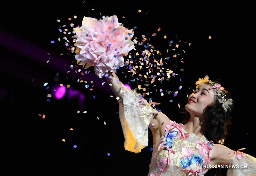 Международный фестиваль циркового искусства в провинции Хэнань