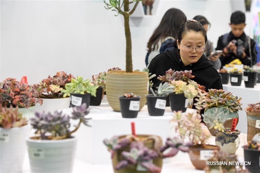 Китайская ярмарка саженцев и цветов-2018 в городе Хэфэй