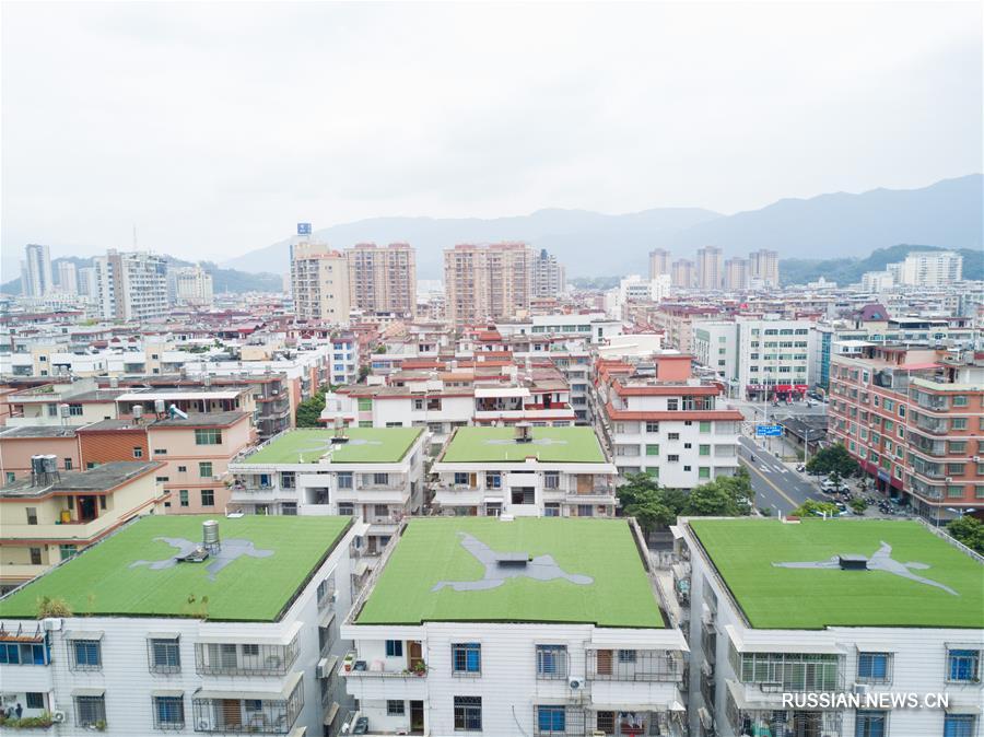 Изображения элементов боевых искусств на крышах уезда Юнчунь