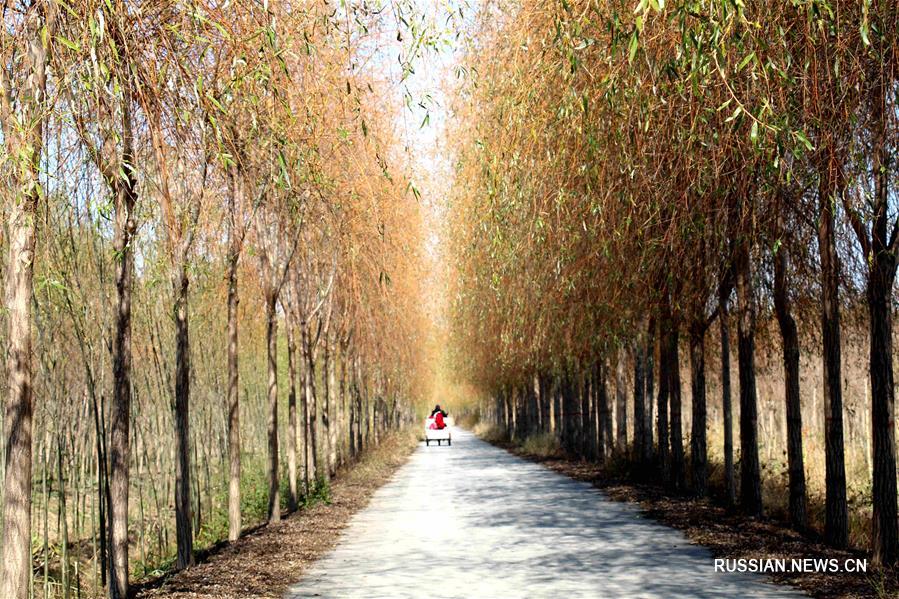 Красивые осенние пейзажи в Китае
