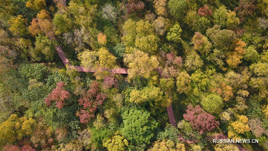 Красивые осенние пейзажи в Китае