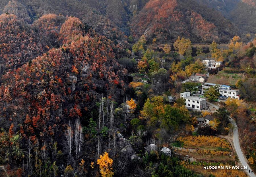Осень в деревне Сясы провинции Хэнань