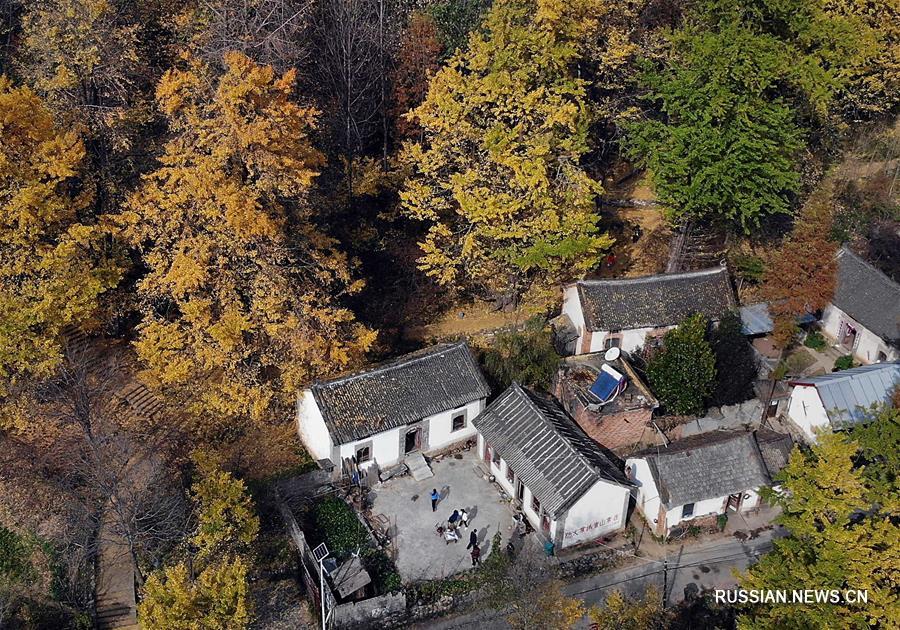 Осень в деревне Сясы провинции Хэнань