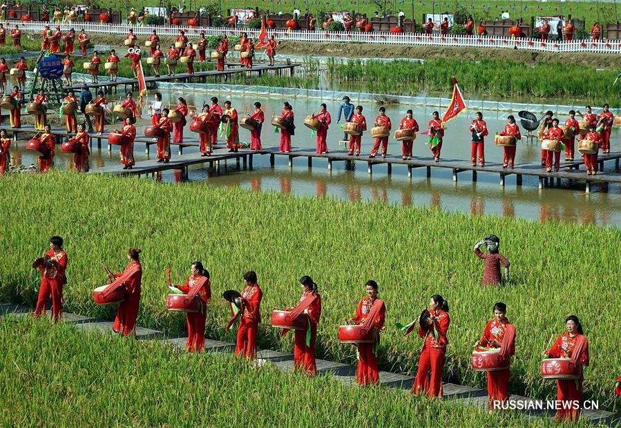 Модернизация сельского хозяйства в провинции Хэнань