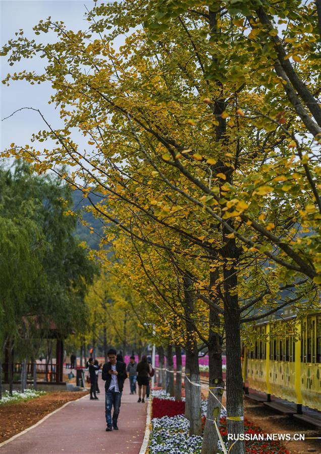 Осень в уезде Чансин провинции Чжэцзян