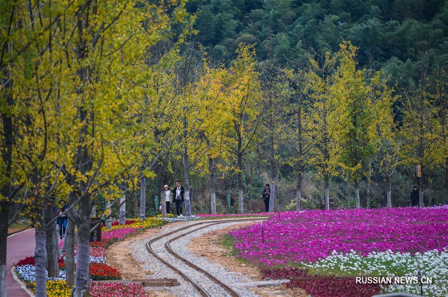 Осень в уезде Чансин провинции Чжэцзян