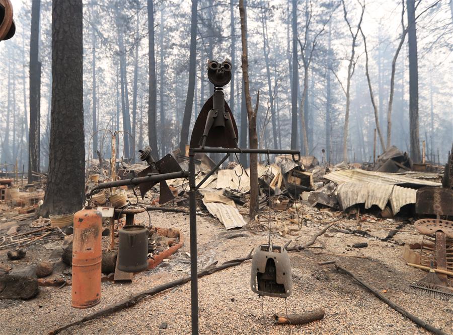 Число жертв лесного пожара на севере Калифорнии возросло до 48 человек 