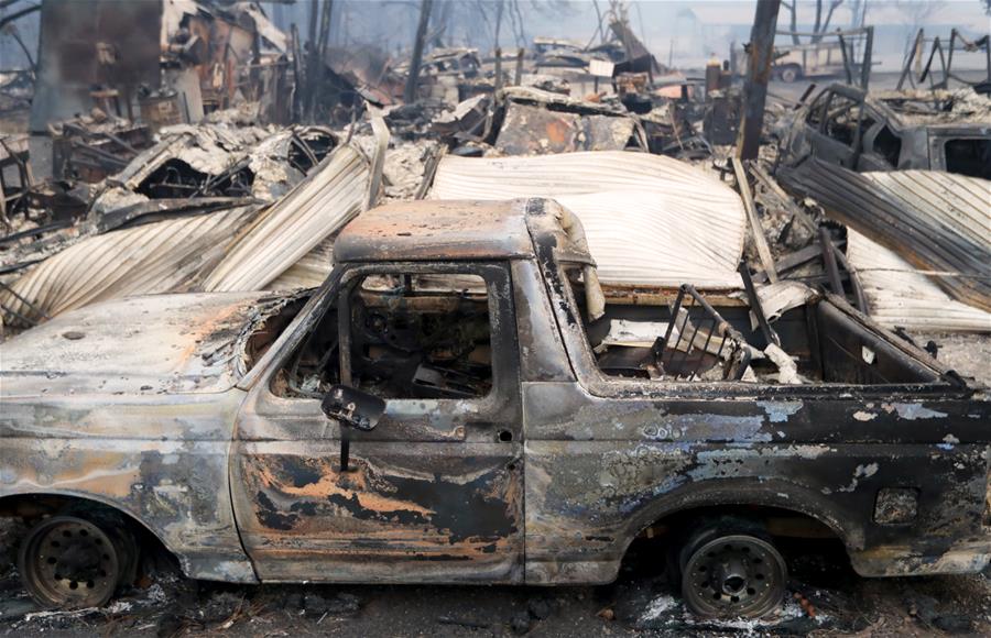 Число жертв лесного пожара на севере Калифорнии возросло до 48 человек 