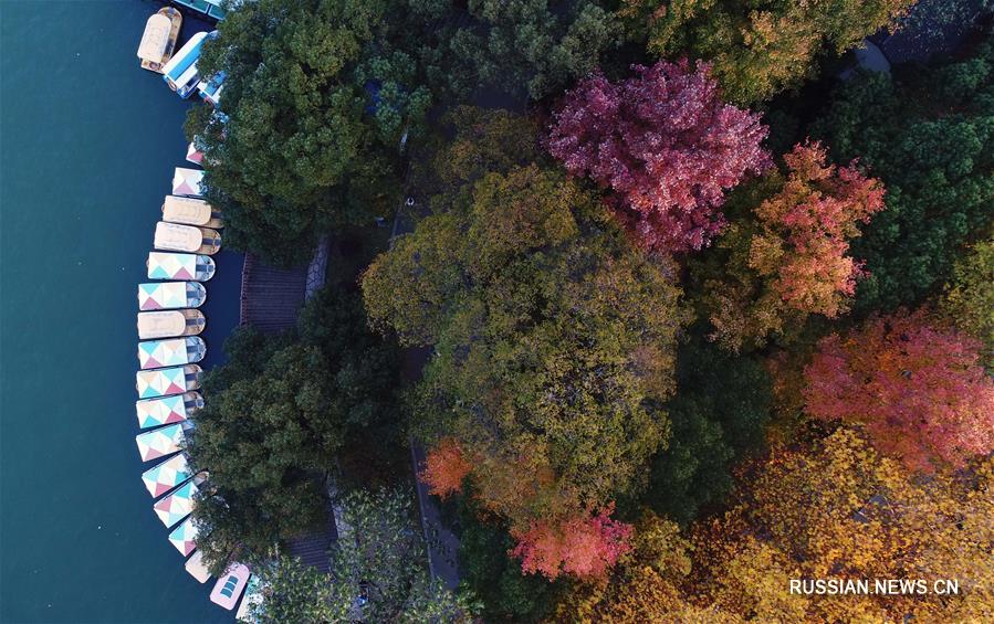 Осенние краски озера Няньцзя в Чанша