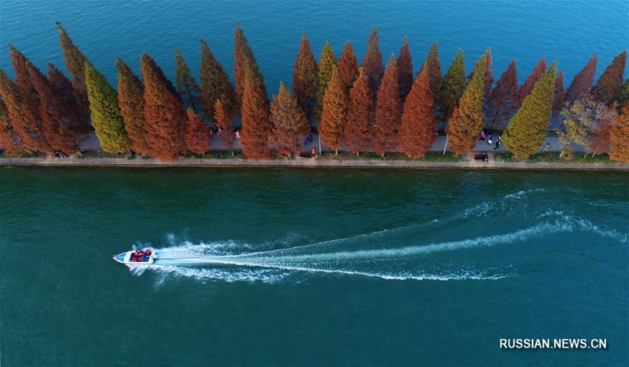 Осенние краски озера Няньцзя в Чанша