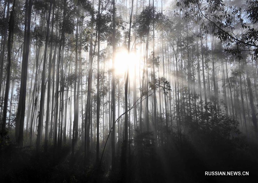 Подобный картине пейзаж в горах на юго-западе Китая