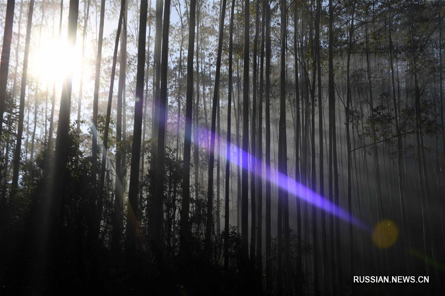 Подобный картине пейзаж в горах на юго-западе Китая