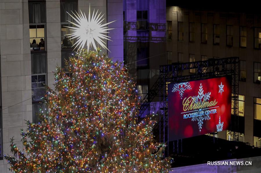 В Нью-Йорке установили главное рождественское дерево 