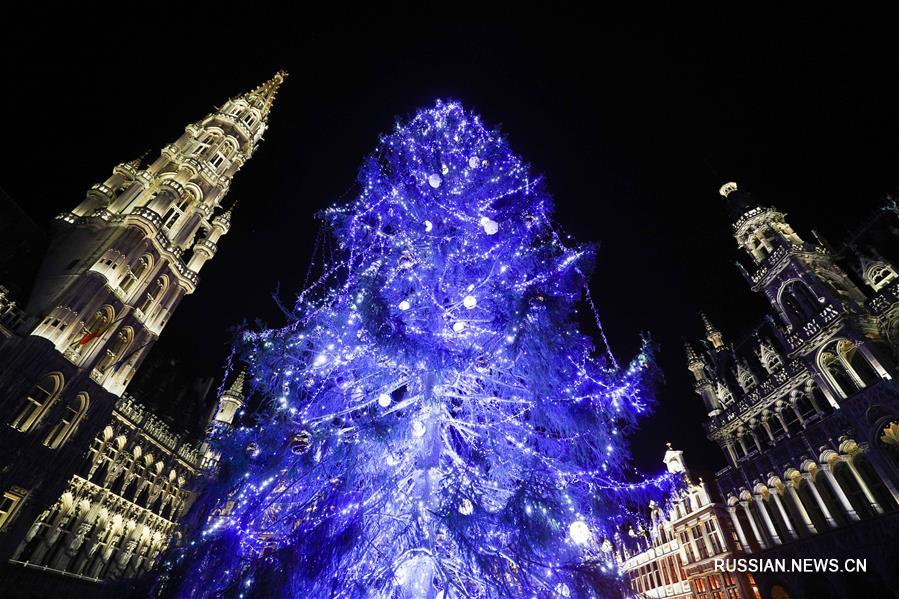 В центре Брюсселя установили 22-метровую рождественскую елку 