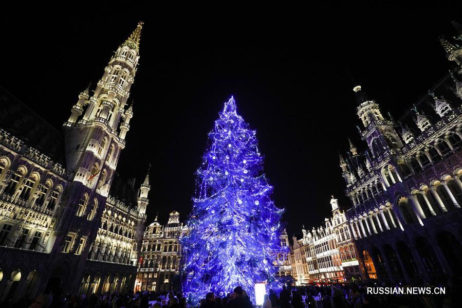 В центре Брюсселя установили 22-метровую рождественскую елку 
