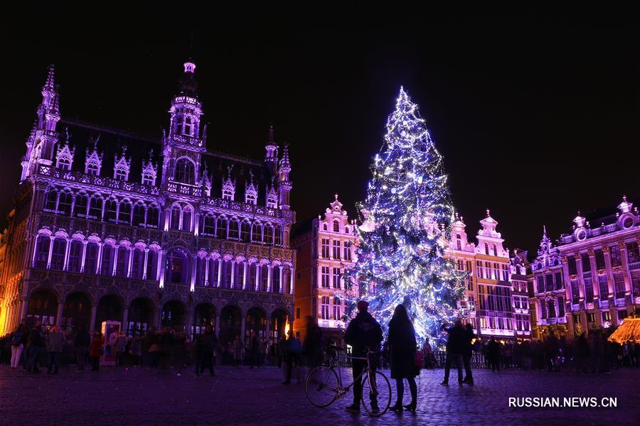 В центре Брюсселя установили 22-метровую рождественскую елку 