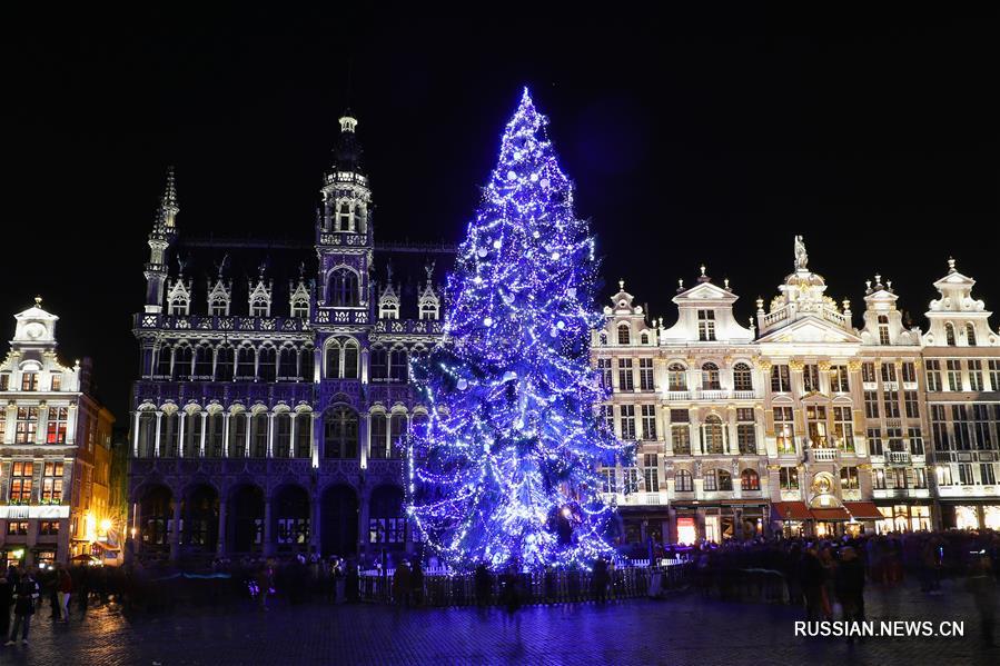 В центре Брюсселя установили 22-метровую рождественскую елку 