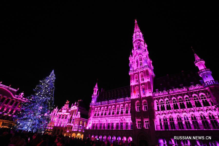 В центре Брюсселя установили 22-метровую рождественскую елку 