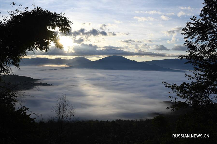 "Облачное море" в горах Цзинмайшань
