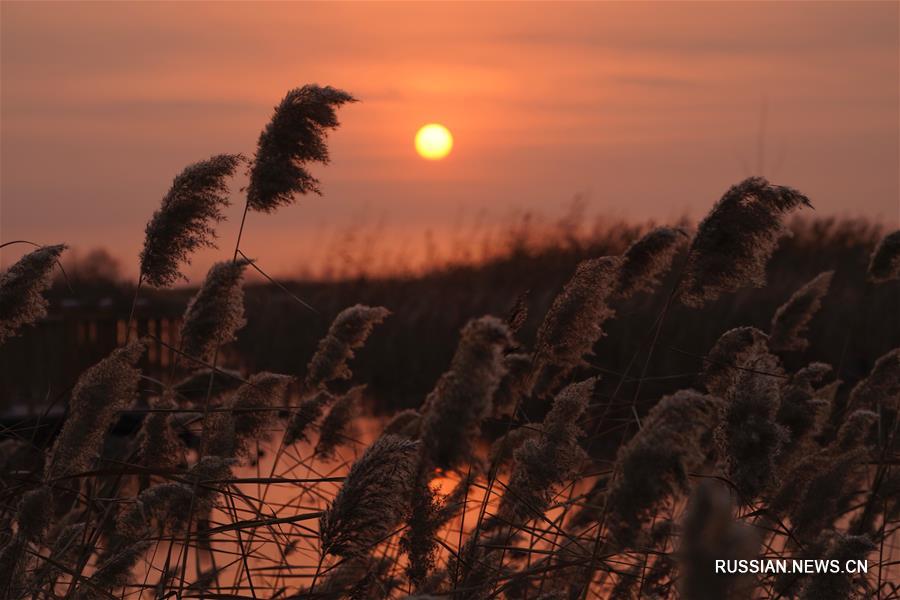 Восход солнца в районе Байяндянь 