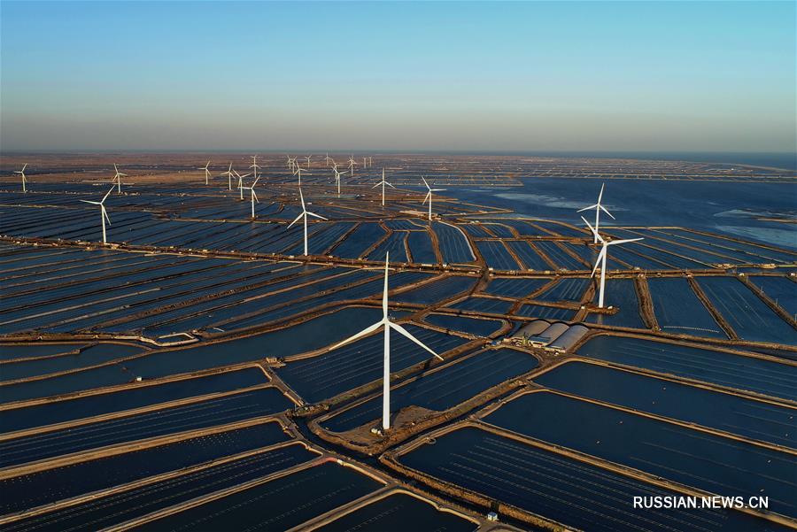 Зеленое чудо Китая -- как 40 лет проведения реформ и открытости повлияли на окружающую среду