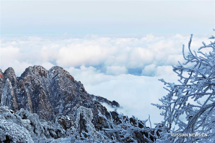 Кружевные снежные наряды ландшафтного парка "Хуаншань"