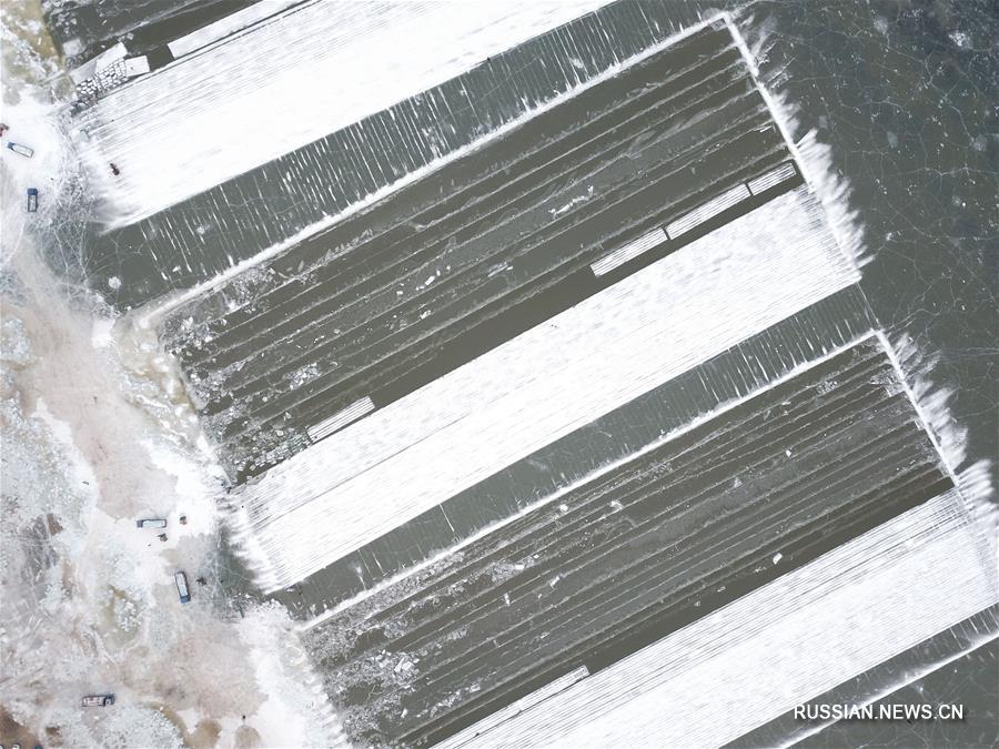 Заготовка строительного материала для парка "Мир льда и снега" в Харбине