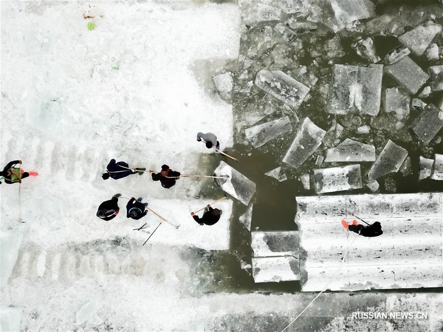 Заготовка строительного материала для парка "Мир льда и снега" в Харбине