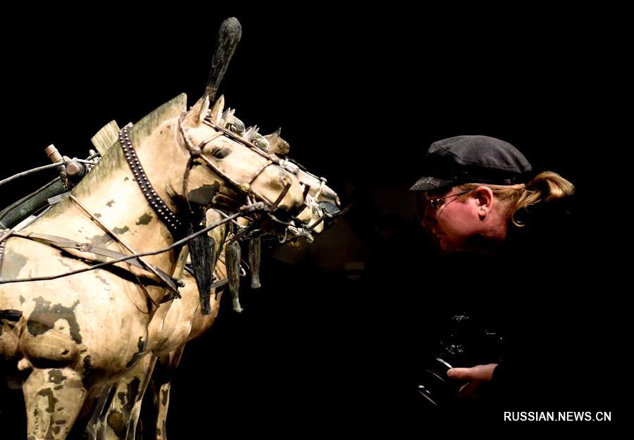 В столице Новой Зеландии открылась выставка "Терракотовое воинство: стражи вечности"