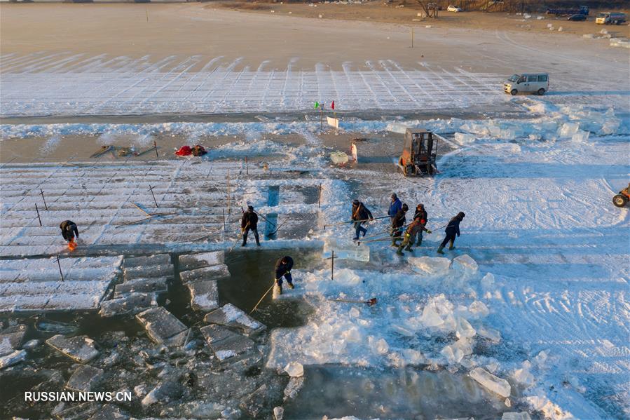 На реке Сунхуацзян в Харбине продолжается добыча "строительного" льда