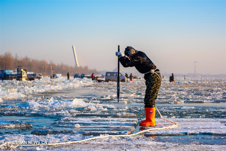 На реке Сунхуацзян в Харбине продолжается добыча "строительного" льда