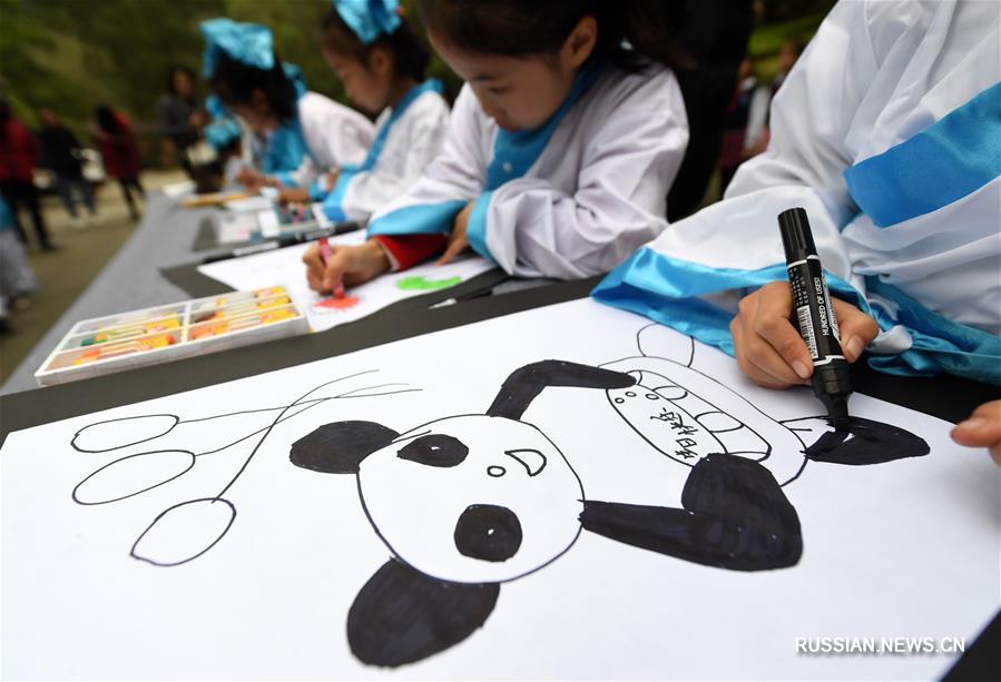 Большой панде Минбиню из Лючжоуского зоопарка исполнилось 12 лет