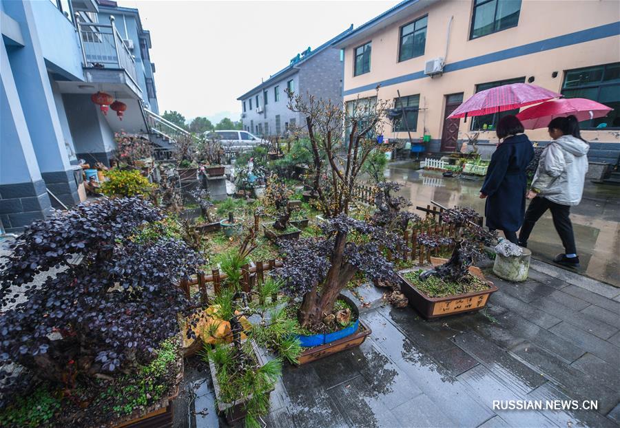 Прекрасное преображение деревни Наньшань к Новому году