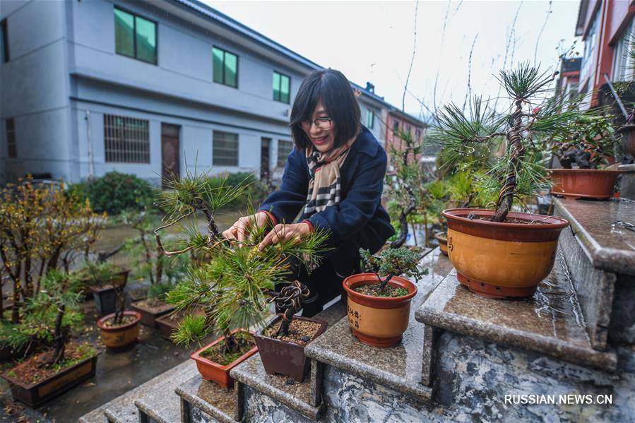 Прекрасное преображение деревни Наньшань к Новому году