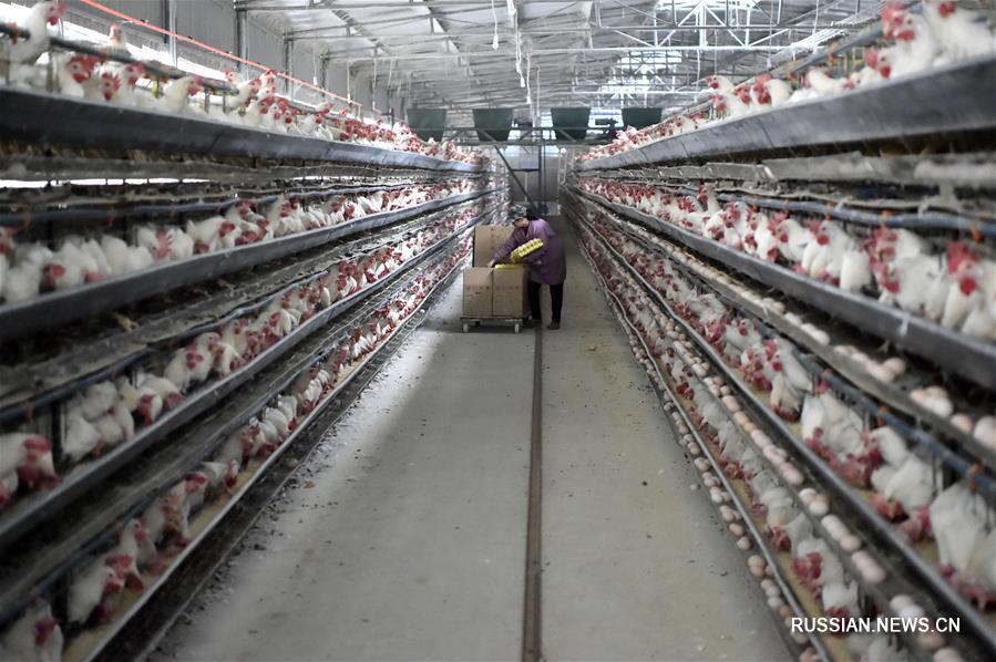 Показательная зона рециркуляционного сельского хозяйства "Фэнфэй саньцзин"