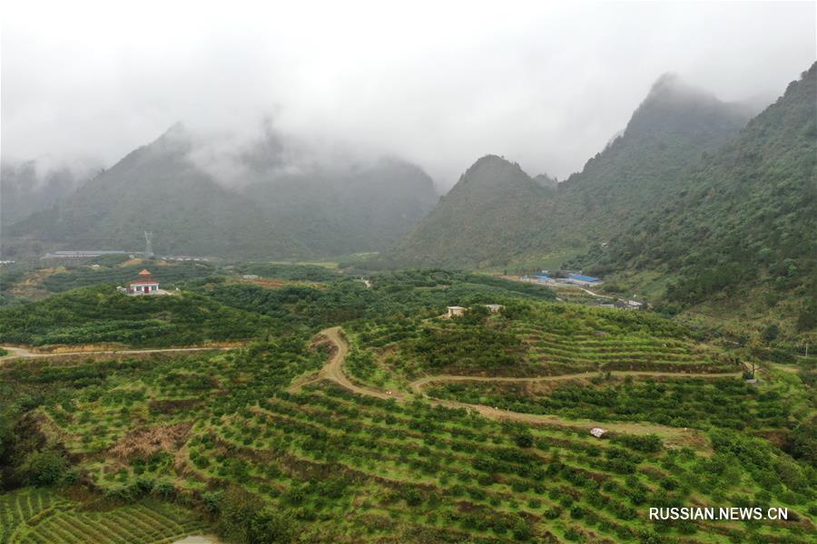 Показательная зона рециркуляционного сельского хозяйства "Фэнфэй саньцзин"