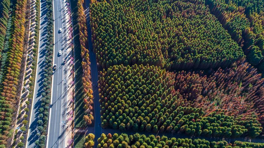 Зимние пейзажи "города весны"