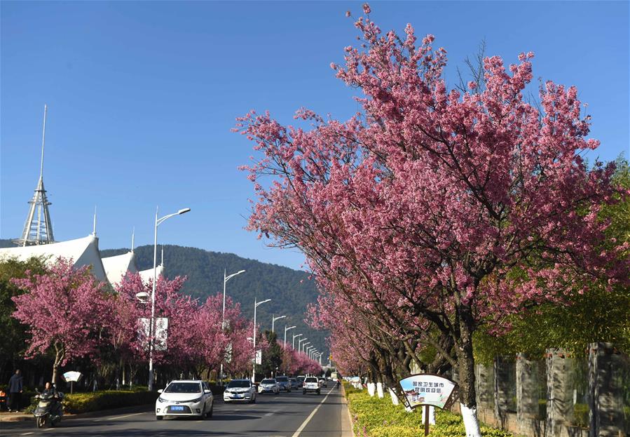 Зимние пейзажи "города весны"